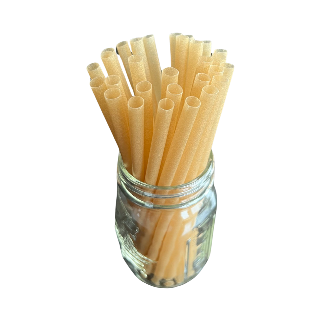 Sugarcane Drinking Straws - REGULAR (7.87 in) - 1,000 ct