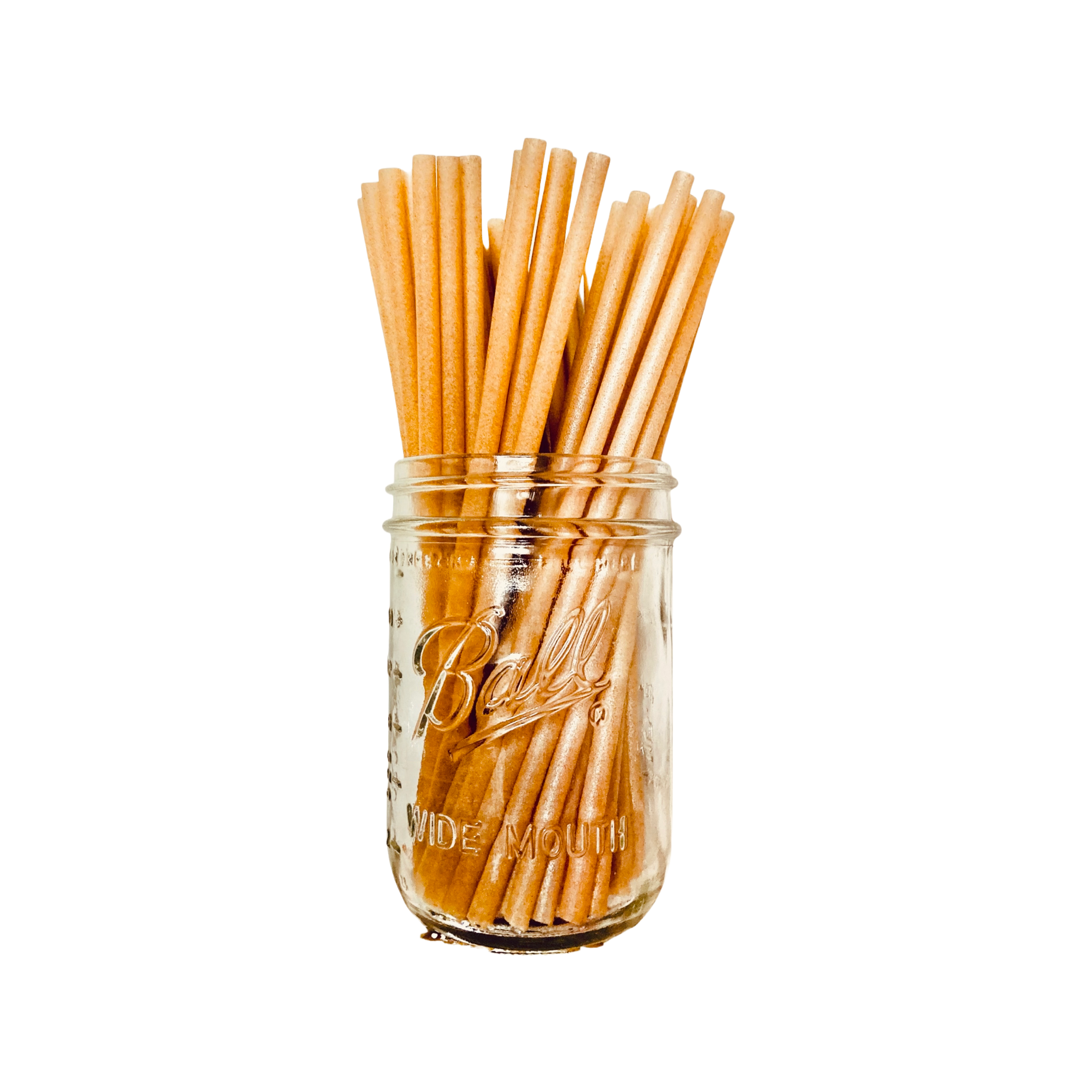Cycle of Life - Sugarcane Drinking Straws (100 Piece Pack)