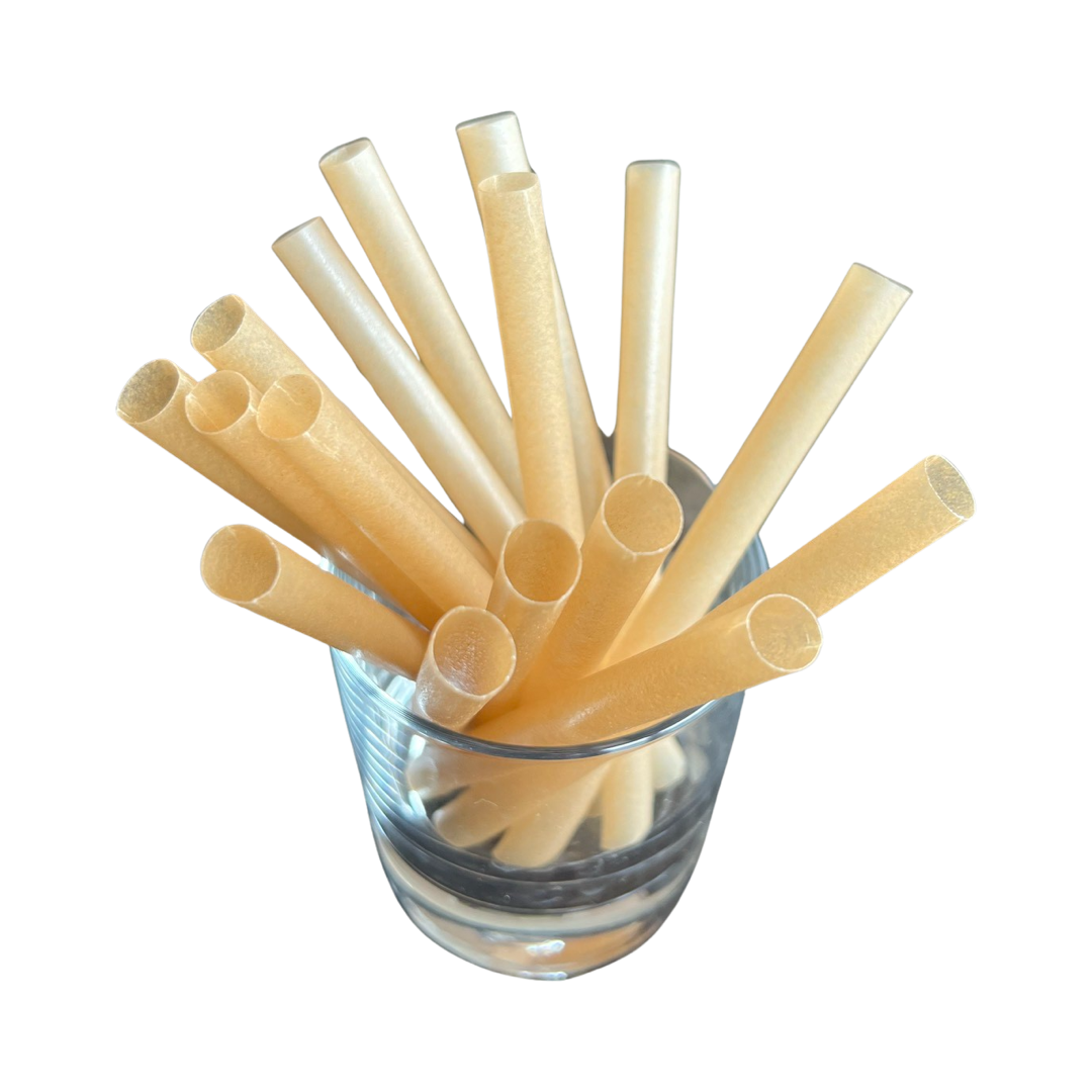 Sugarcane Drinking Straws - SHORT (5.5 in)